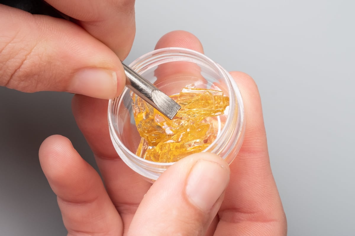 Golden cannabis extract held in hand