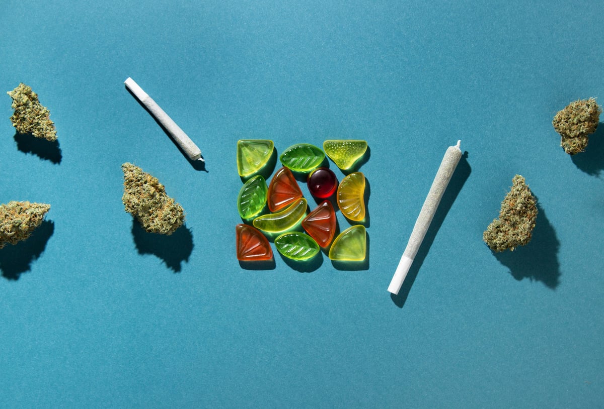 Cannabis gummies and dried flower arranged on a surface