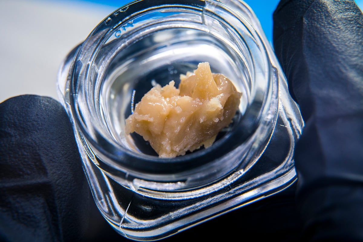 Person holding a gram of cannabis live rosin