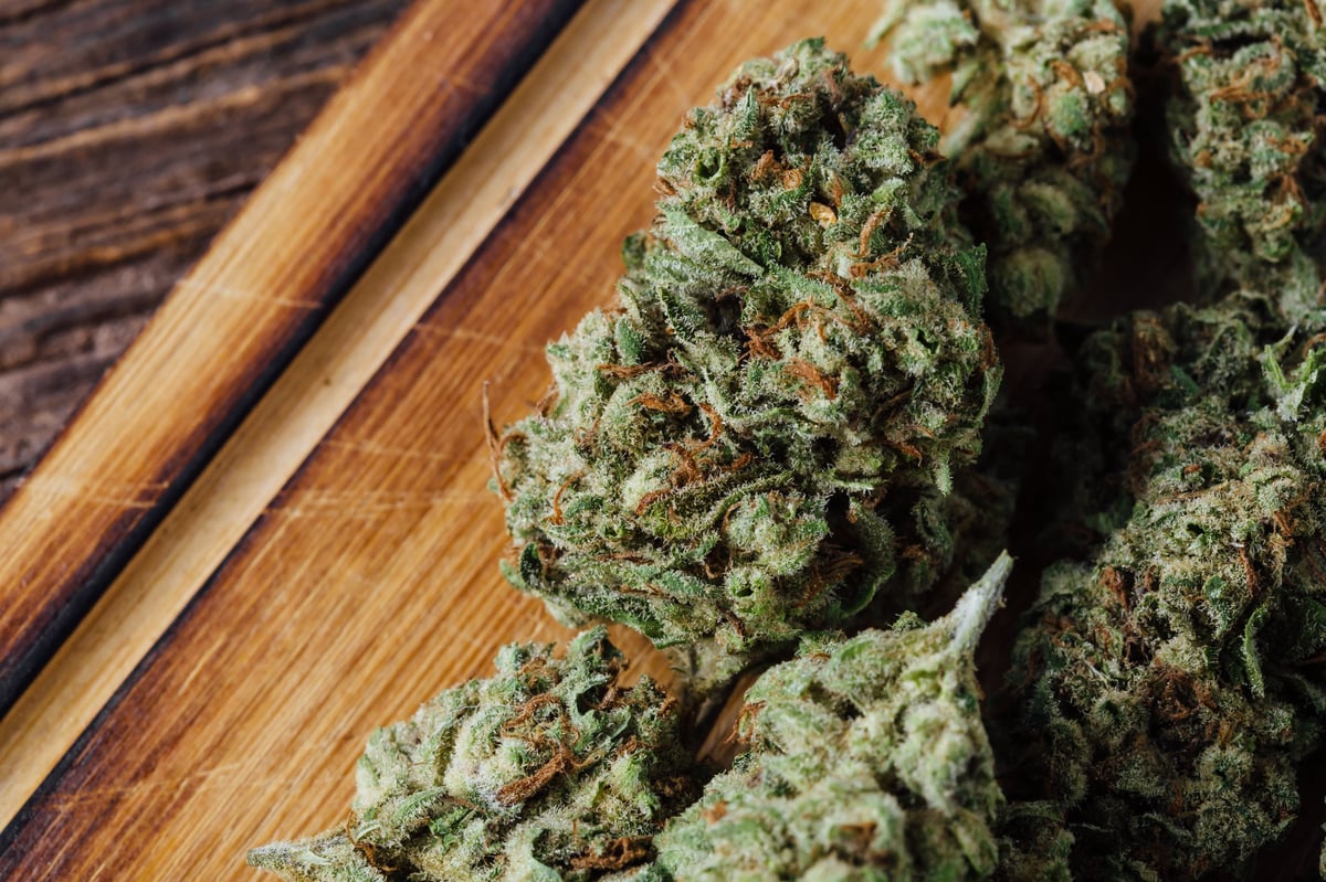 Close-up of dried Sour Diesel cannabis flower