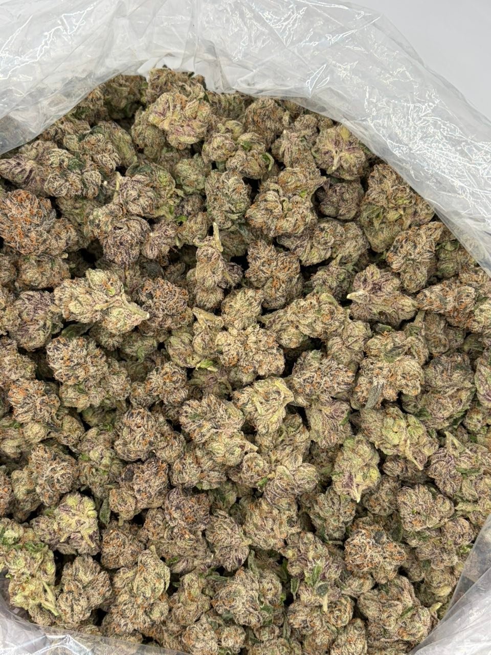 Gumbo indoor cannabis buds with bright colour and dense structure
