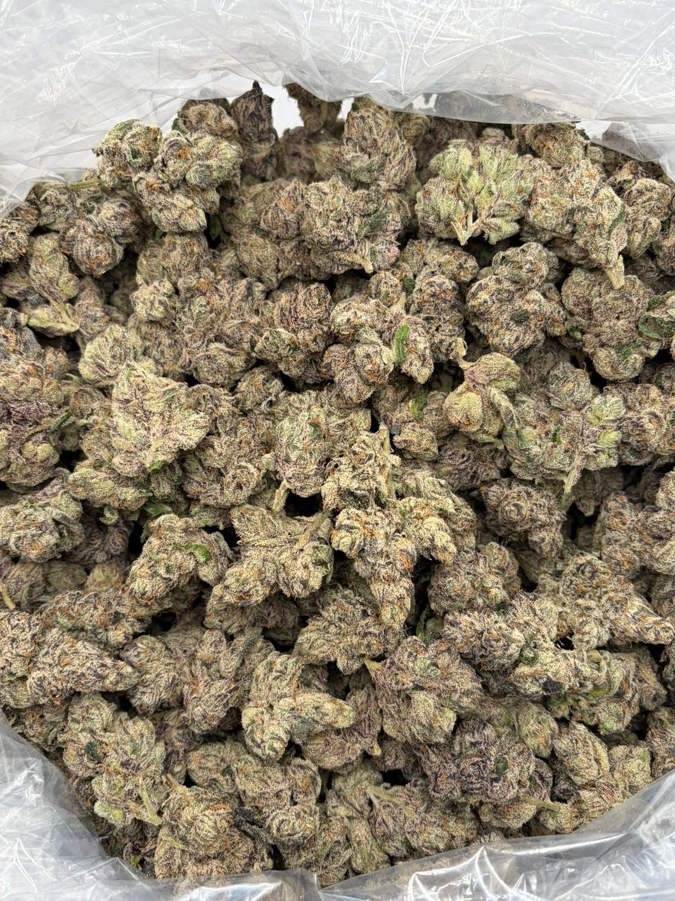 Bonsai Berry indoor cannabis buds with green and brown trichomes