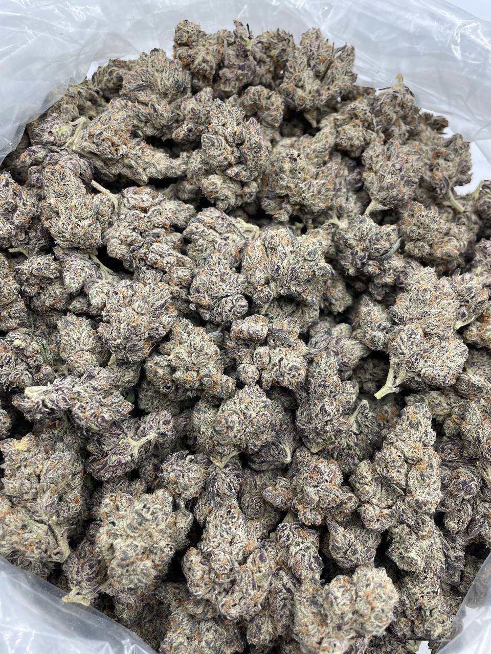 Close overhead view of a bag packed with Cherry Jupiter buds, showing the purple flecking and heavy frost