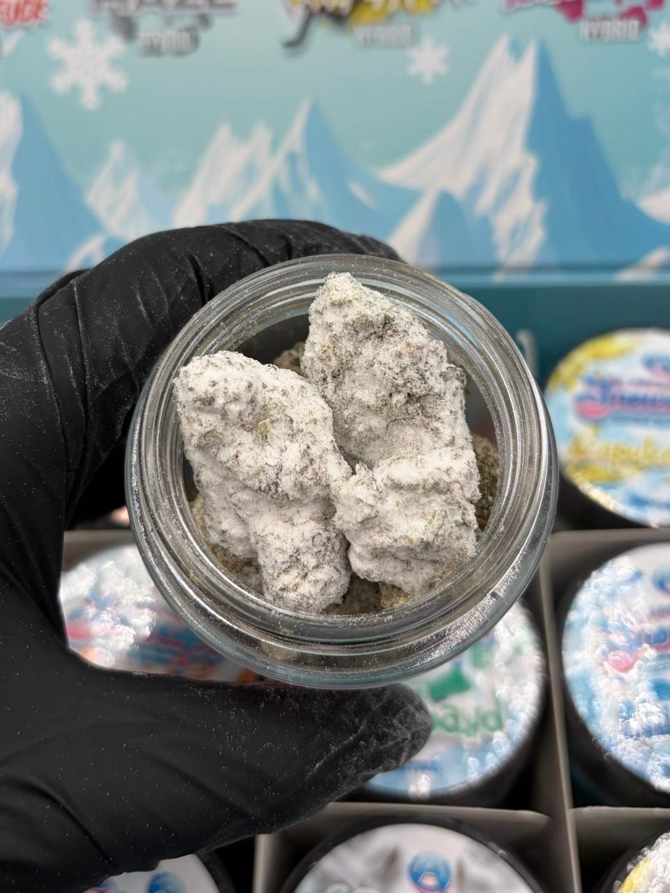 Glass jar of kief-coated snowcaps held in a gloved hand