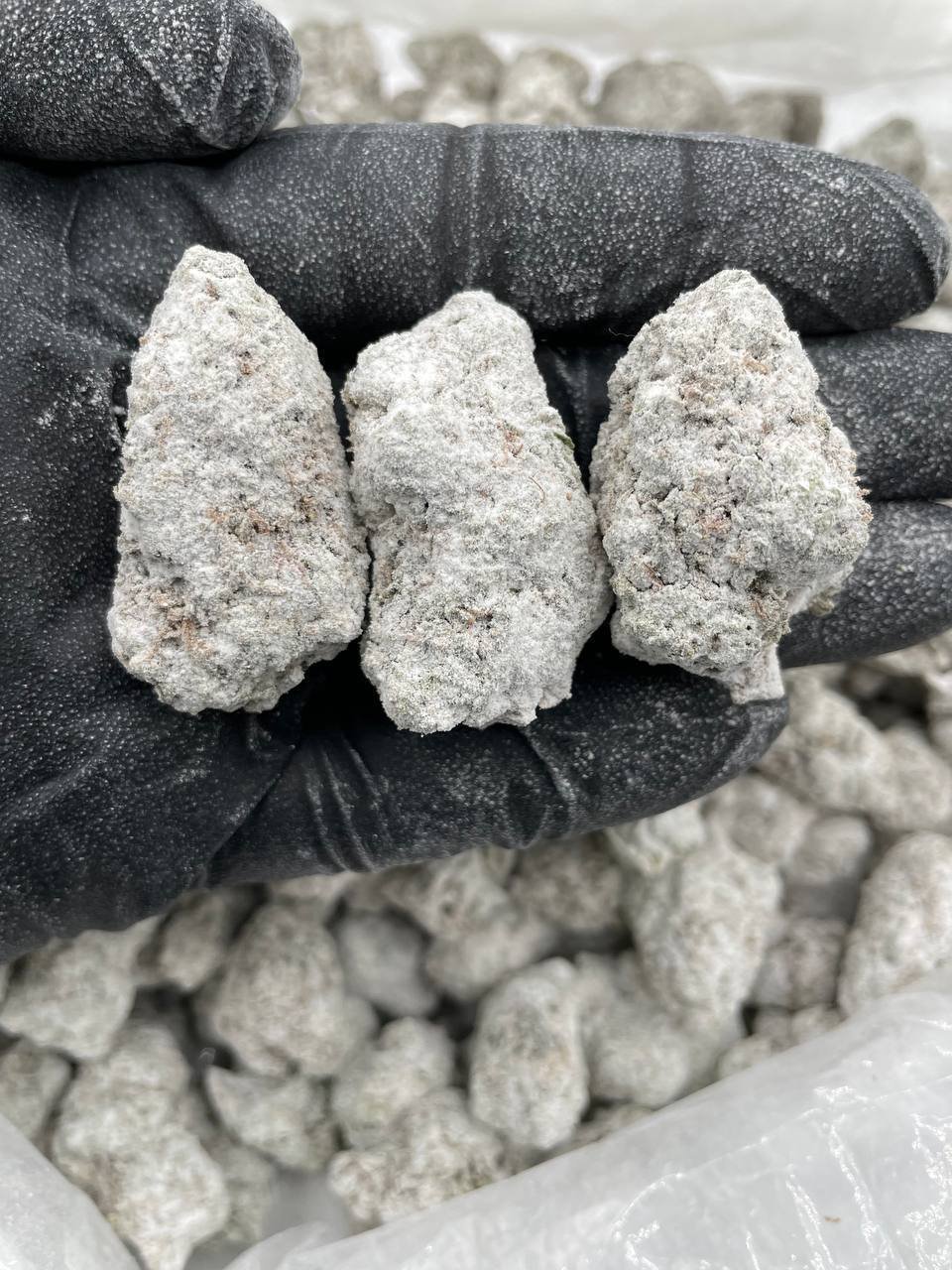 Three THC-coated Starburst Runtz snowball buds held in a black gloved hand, with more of the same buds piled below