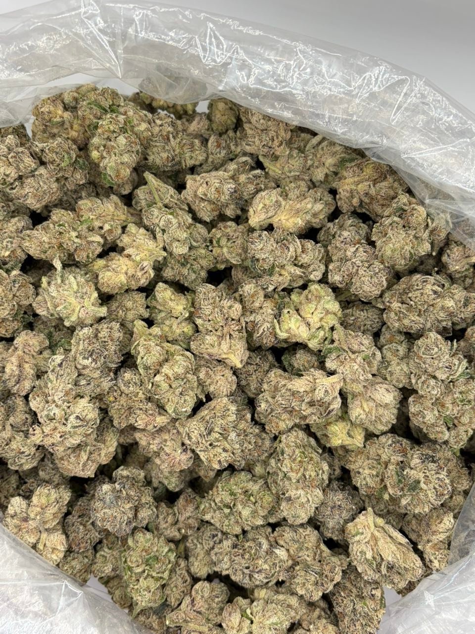 Dense, frosty Gelato Plushers indoor cannabis buds