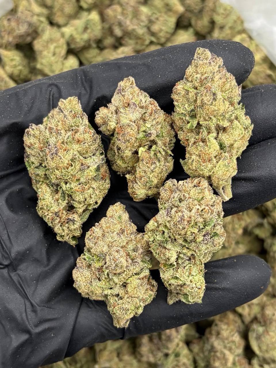 Dense Candy Runtz cannabis buds with crystalline trichomes